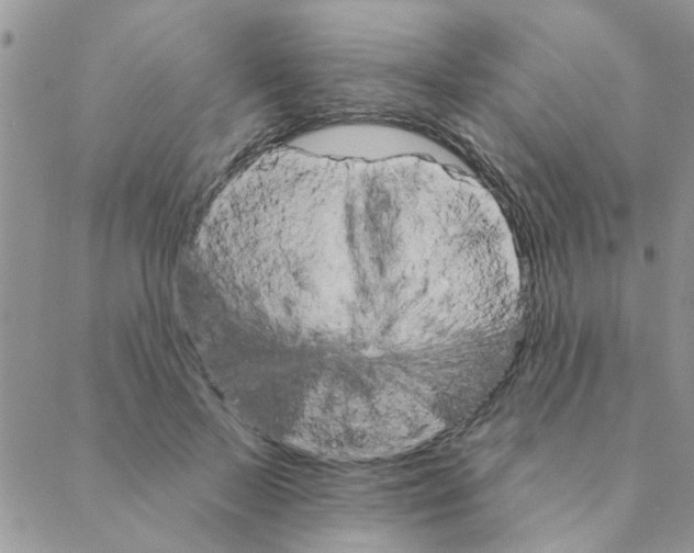 X0000088200695200706121741