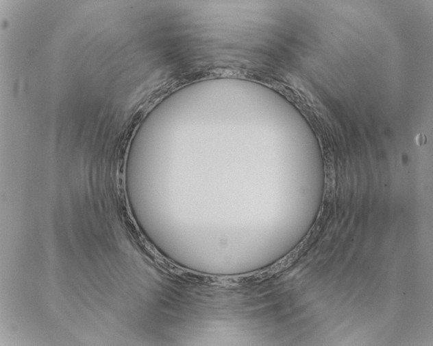 X0000088200696200706121741