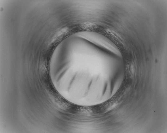 X0000088200702200706121741