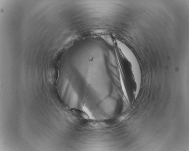 X0000088200712200706121740