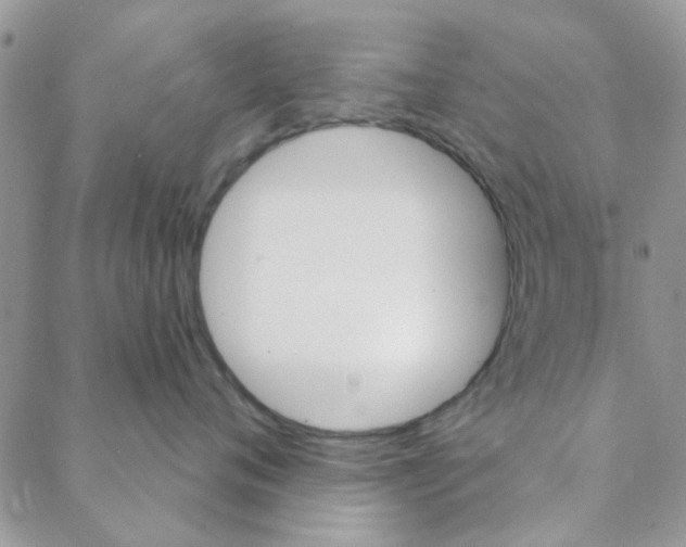 X0000088200720200706121740