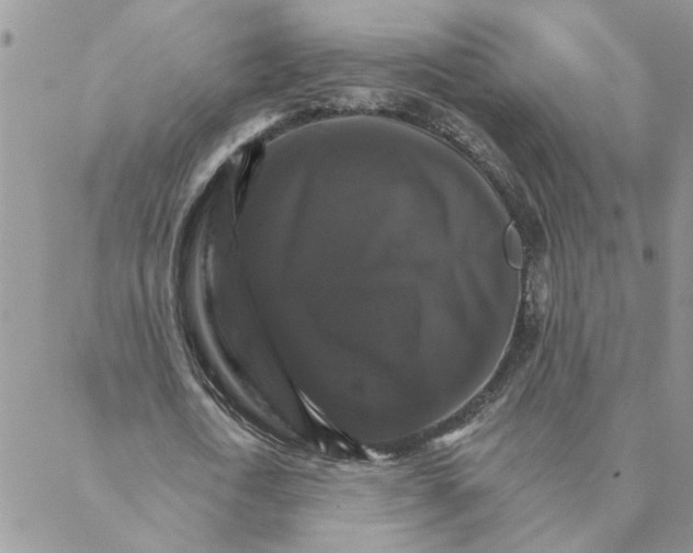 X0000088200722200706121740