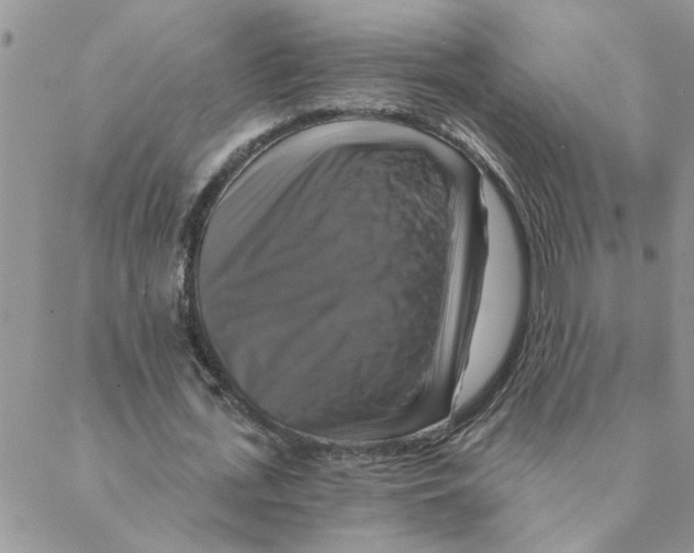 X0000088200723200706121740