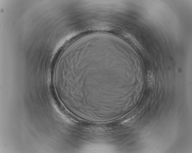 X0000088200726200706121740