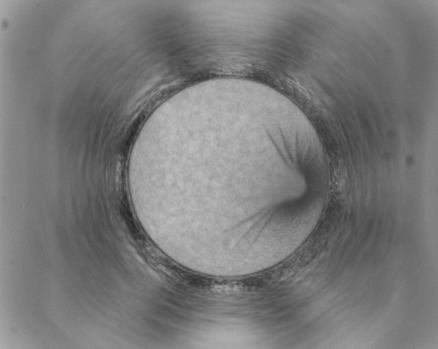 X0000088200744200706121740