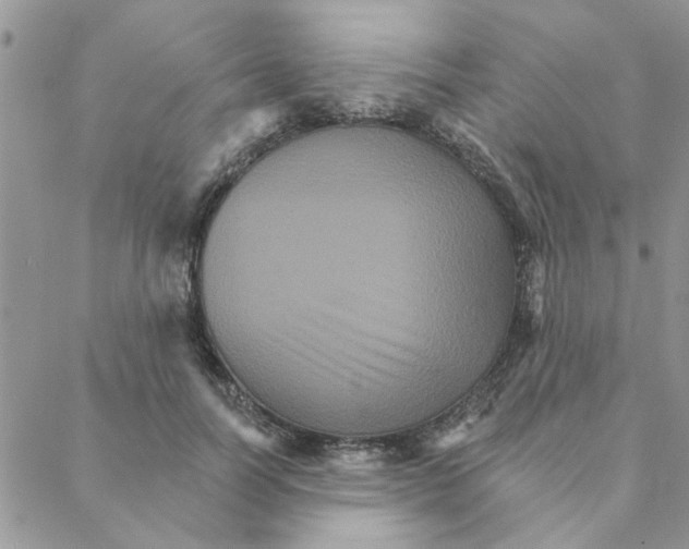 X0000088200746200706121740