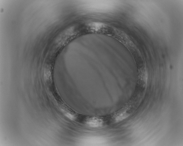 X0000088200754200706121740