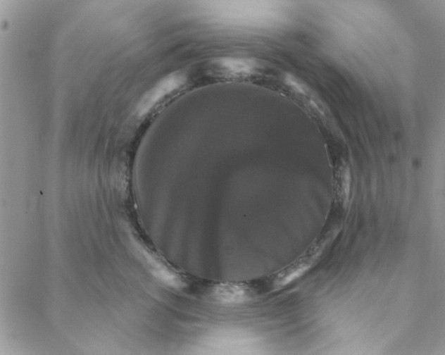 X0000088200762200706121740