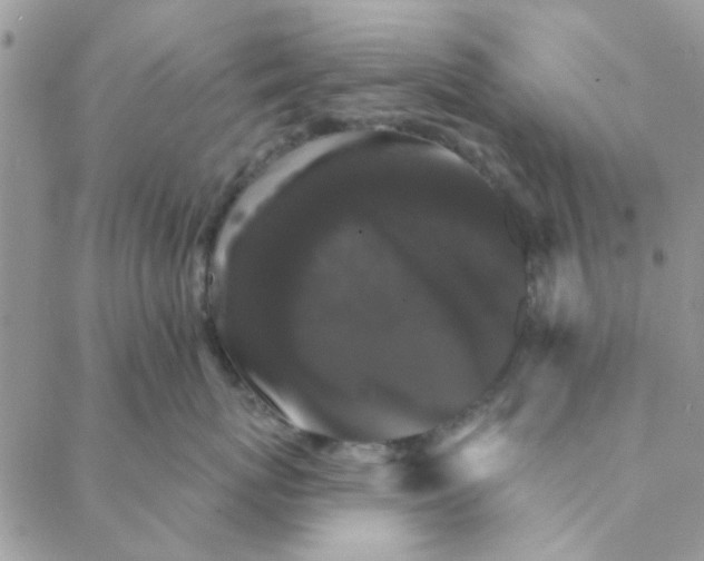 X0000088200767200706121740