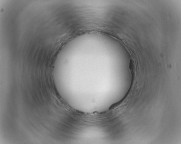 X0000088200768200706121740