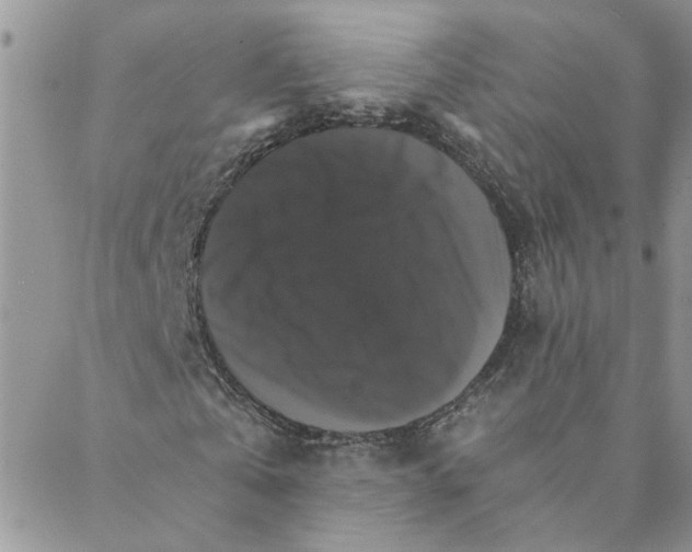 X0000088200769200706121740