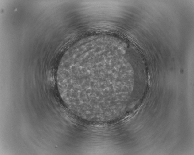 X0000088200771200706121740