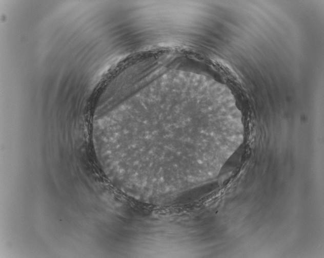 X0000088200776200706121739