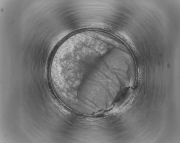 X0000088200780200706121739
