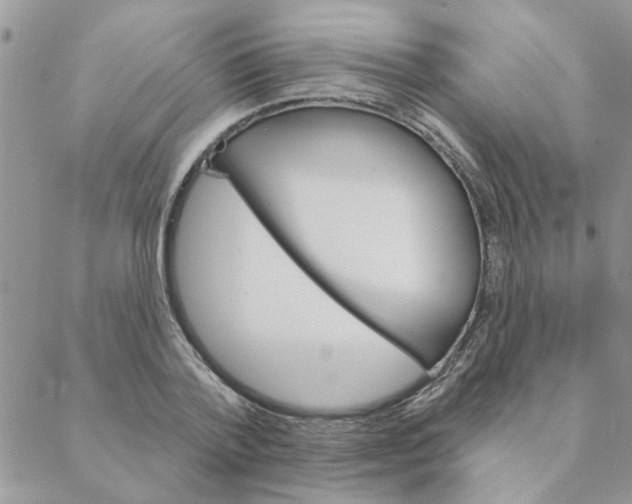 X0000088200788200706121739