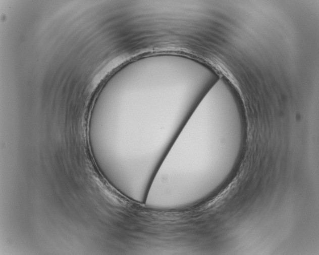 X0000088200789200706121739