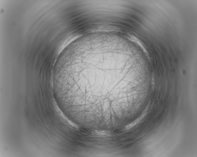 X0000088200794200706121739