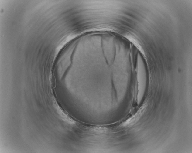 X0000088200797200706121739