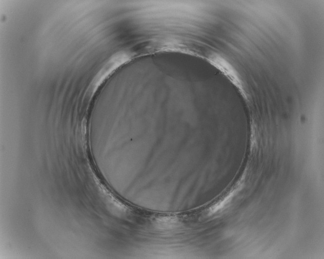 X0000088200798200706121739
