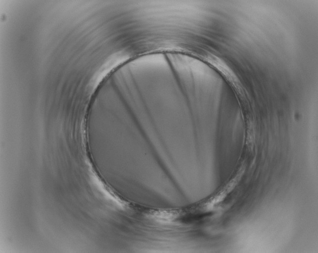 X0000088200806200706121739