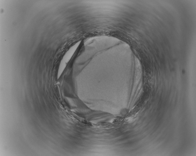 X0000088200818200706121738