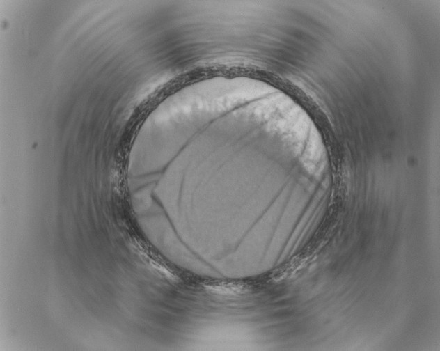 X0000088200823200706121738