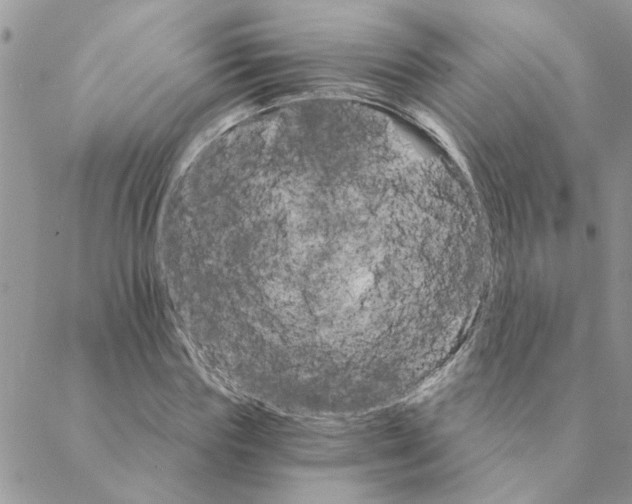 X0000088200827200706121738