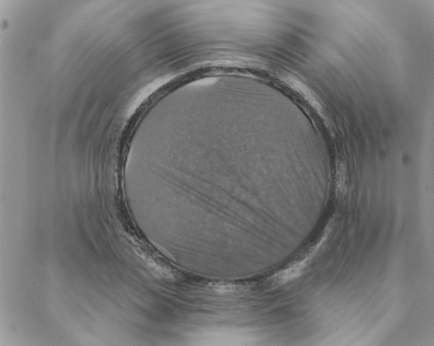 X0000088200829200706121738