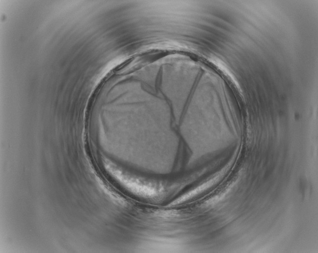 X0000088200845200706121738