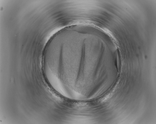 X0000088200846200706121739
