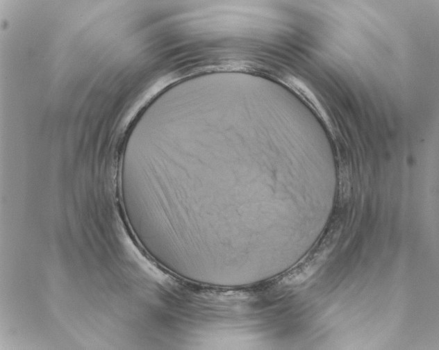 X0000088200851200706121739
