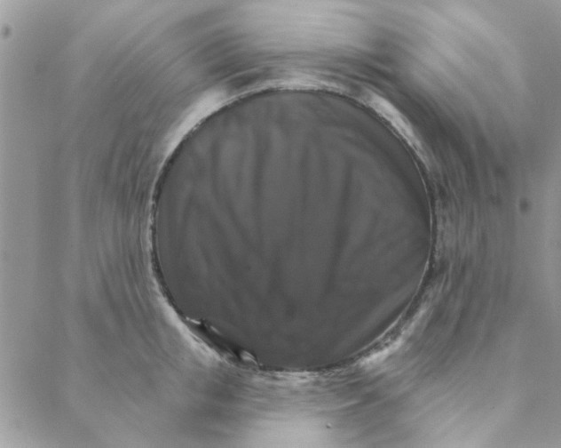 X0000088200853200706121739