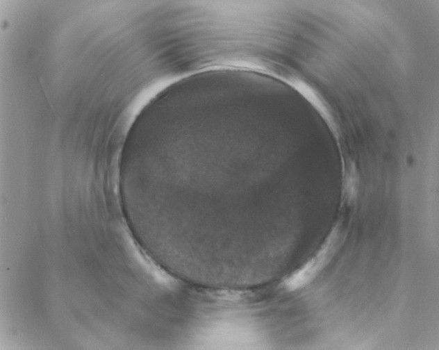 X0000088200862200706121739