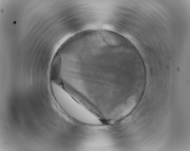 X0000088200864200706121739