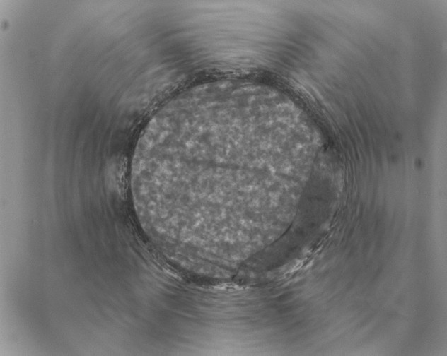 X0000088200867200706121738