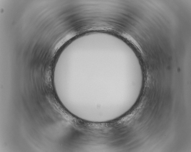 X0000088200874200706121738