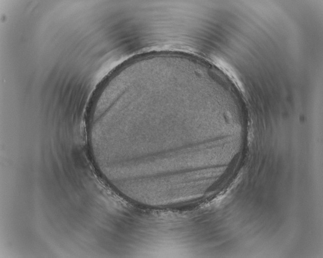 X0000088200876200706121738