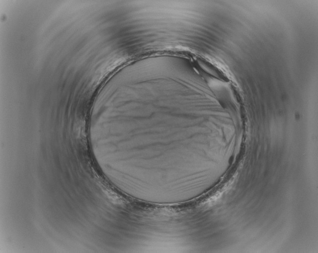 X0000088200881200706121738