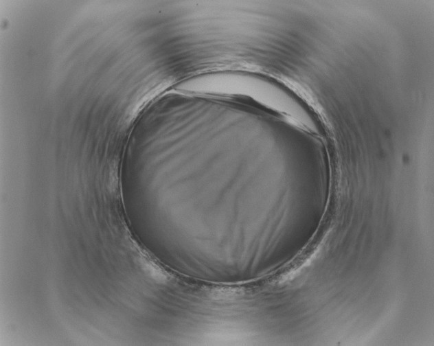 X0000088200889200706121738
