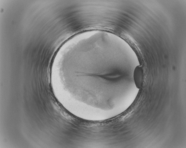 X0000088200892200706121738
