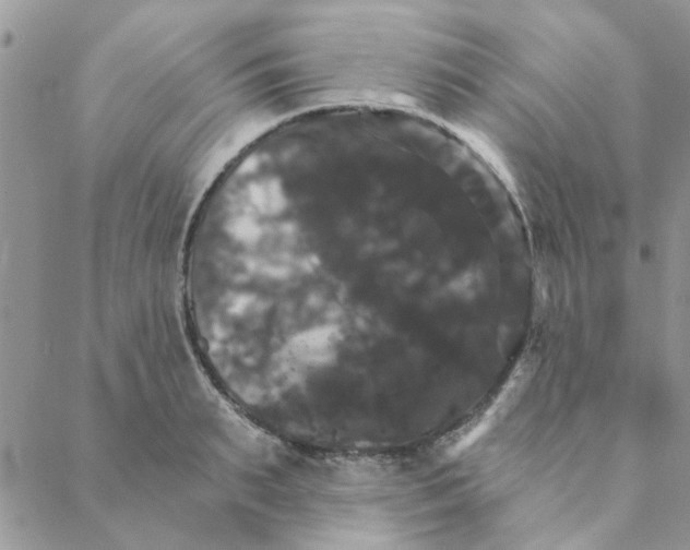 X0000088200895200706121738