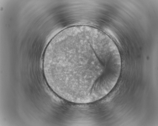 X0000088200900200706121737