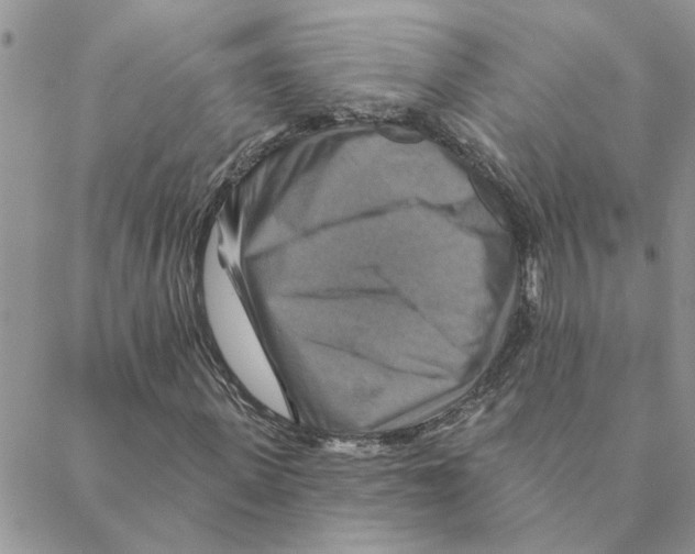 X0000088200915200706121737
