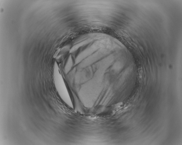 X0000088200916200706121737