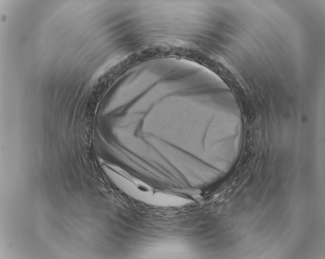 X0000088200919200706121737