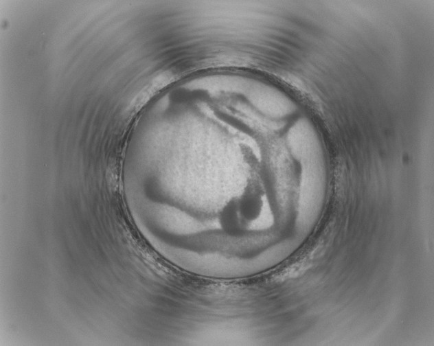 X0000088200929200706121737