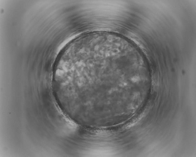 X0000088200933200706121737