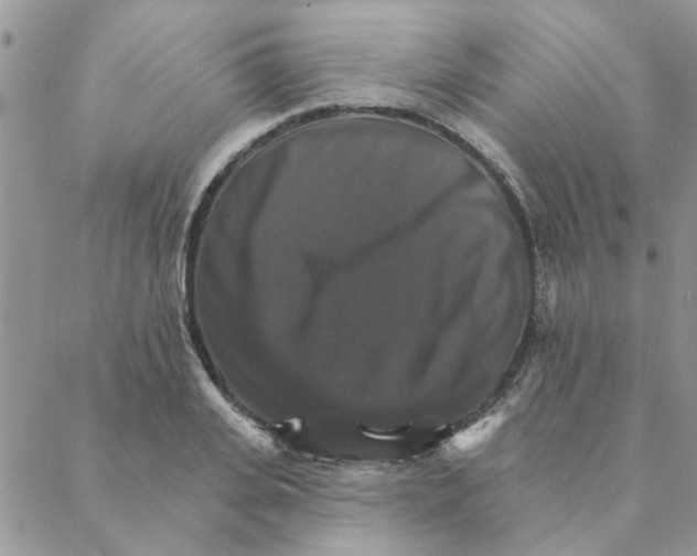 X0000088200935200706121737