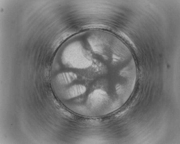 X0000088200937200706121737