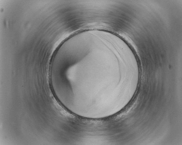 X0000088200941200706121737